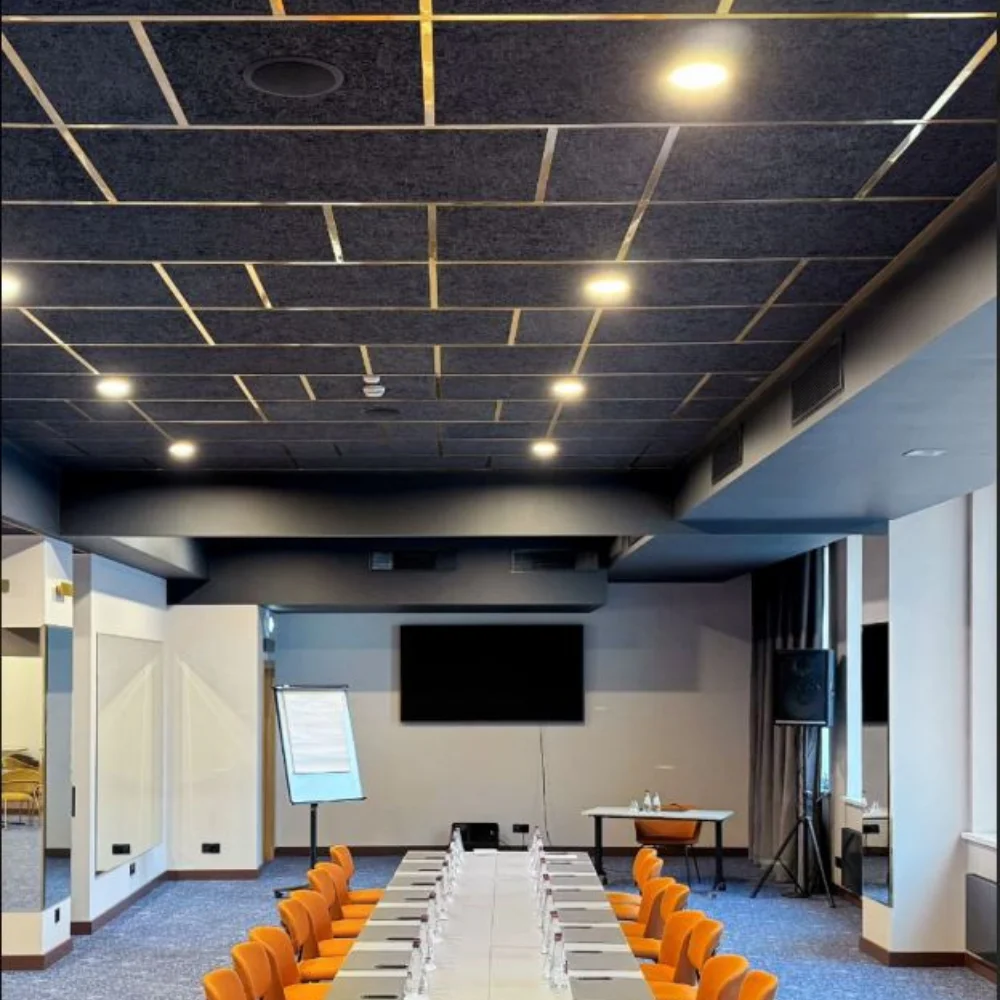 office acoustic ceiling